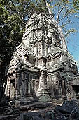 Ta Prohm temple